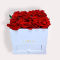 25 Red Rose Box